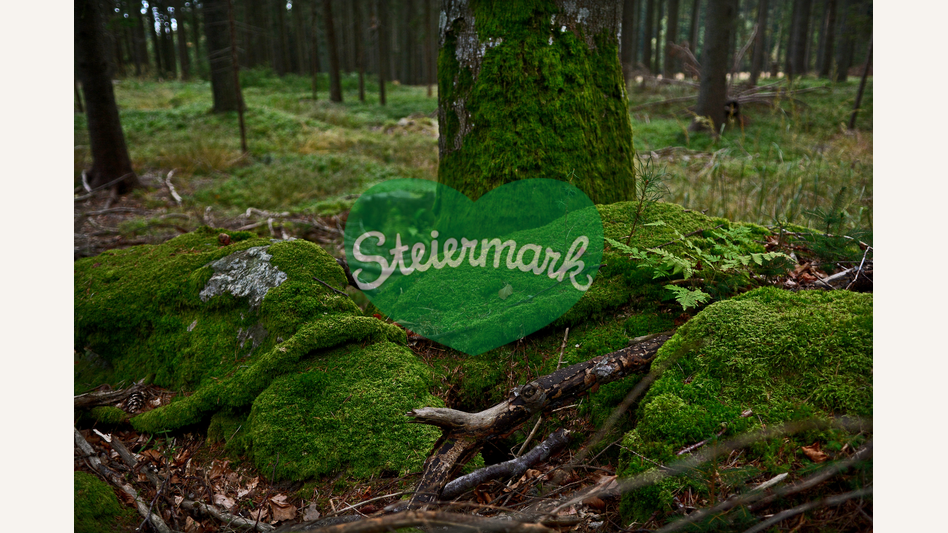 Moosbedeckte Wurzeln in der Oststeiermark | © Oststeiermark Tourismus | Christian Strassegger