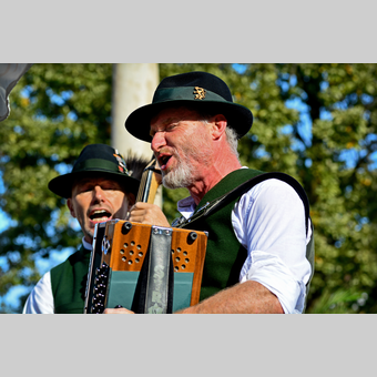 Musikanten beim Winzerfest in Hartberg | © Oststeiermark Tourismus | Christian Strassegger