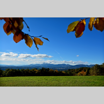 Herbstlandschaft im Apfelland in der Oststeiermark | © Oststeiermark Tourismus | Christian Strassegger