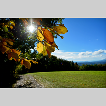 herbstliche Stimmung in der Oststeiermark | © Oststeiermark Tourismus | Christian Strassegger