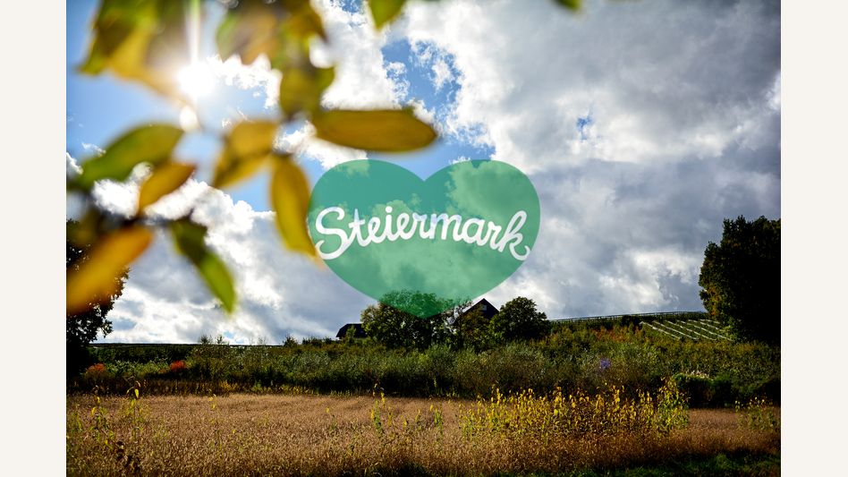 herbstliche Stimmung in der Oststeiermark | © Oststeiermark Tourismus | Christian Strassegger