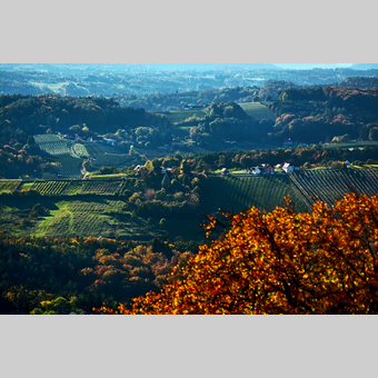 Herbstlandschaft im Apfelland in der Oststeiermark | © Oststeiermark Tourismus | Christian Strassegger