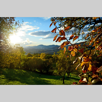 herbstliche Stimmung in der Oststeiermark | © Oststeiermark Tourismus | Christian Strassegger