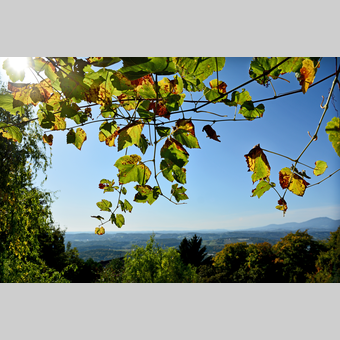 herbstliche Stimmung in der Oststeiermark | © Oststeiermark Tourismus | Christian Strassegger