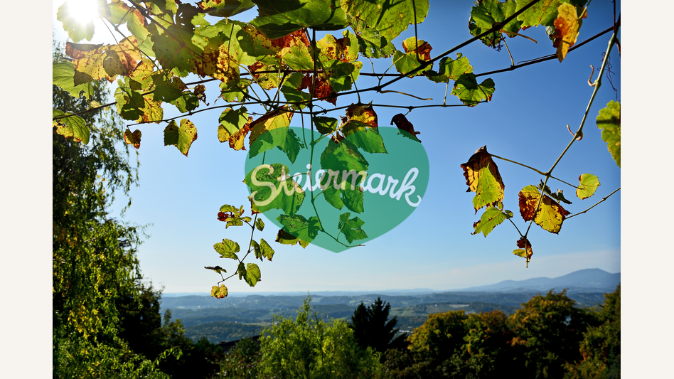 herbstliche Stimmung in der Oststeiermark | © Oststeiermark Tourismus | Christian Strassegger