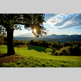 Herbstlandschaft im Apfelland in der Oststeiermark | © Oststeiermark Tourismus | Christian Strassegger