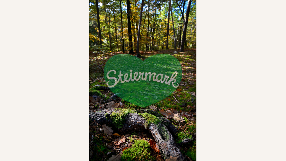 Waldgebiet in der Oststeiermark | © Oststeiermark Tourismus | Christian Strassegger