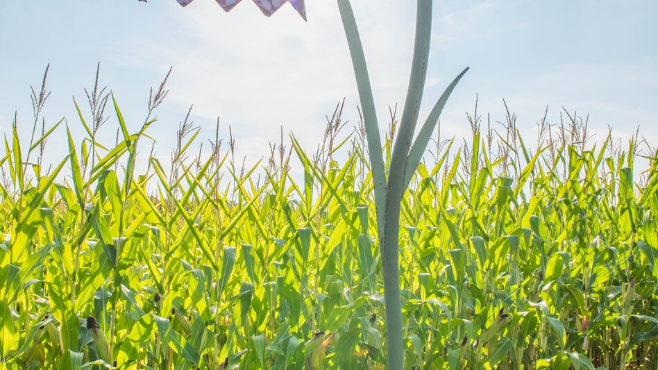 Großsteinbach - Impression #2.6