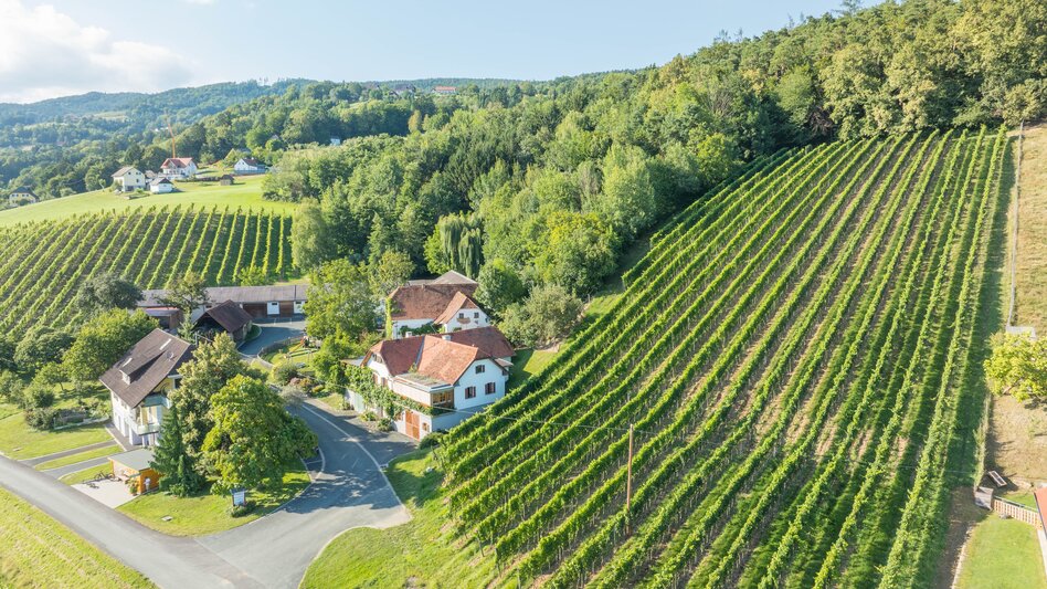 Hartl  - Impression #2.5