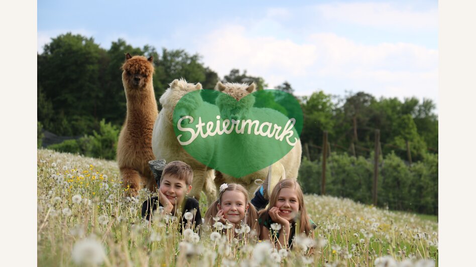 Alpaka mit Kinder in der Wiese im Apfelland | © Oststeiermark Tourismus | Stephanie Hasenburger