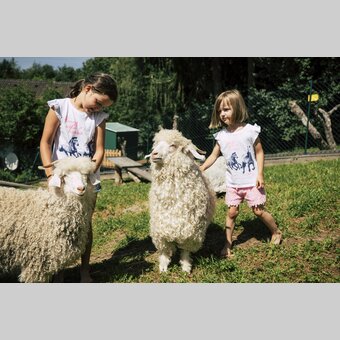 Kinder streicheln Schafe in der Steiermark | ©  Oststeiermark Tourismus | Bernhard Bergmann