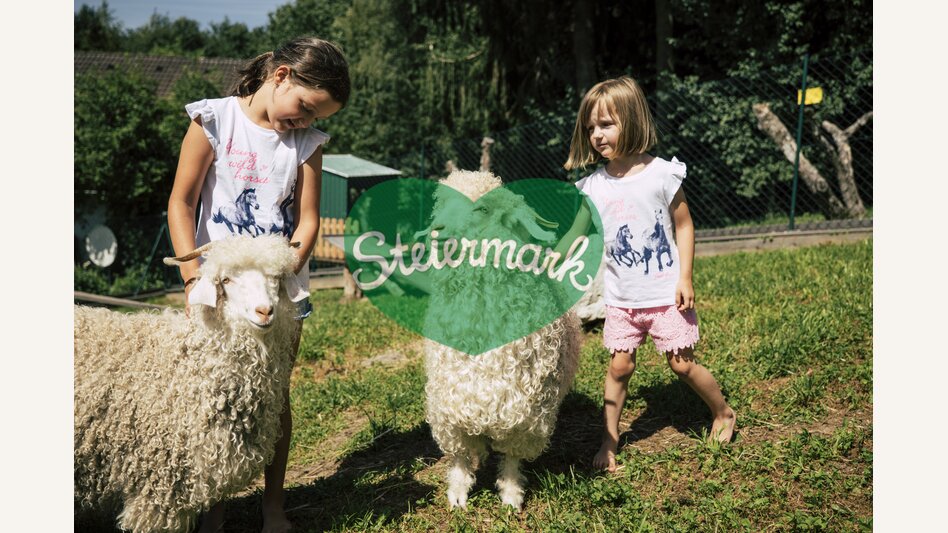 Kinder streicheln Schafe in der Steiermark | ©  Oststeiermark Tourismus | Bernhard Bergmann