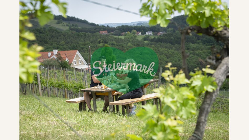 Picknick im Weingarten | Rene Strasser | © Oststeiermark Tourismus, Bernhard Bergmann