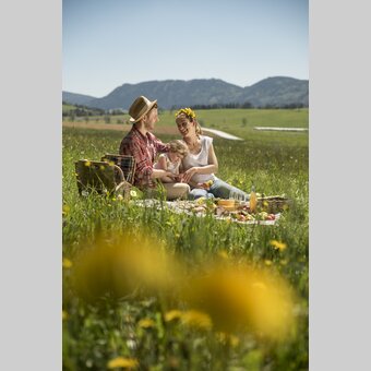 Familienpicknick in Löwenzahnwiese | Bernhard Bergmann | © Oststeiermark Tourismus, Bernhard Bergmann