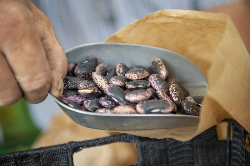 Beetle beans at Hartberg farmers market | © TV Oststeiermark | Bernhard Bergmann