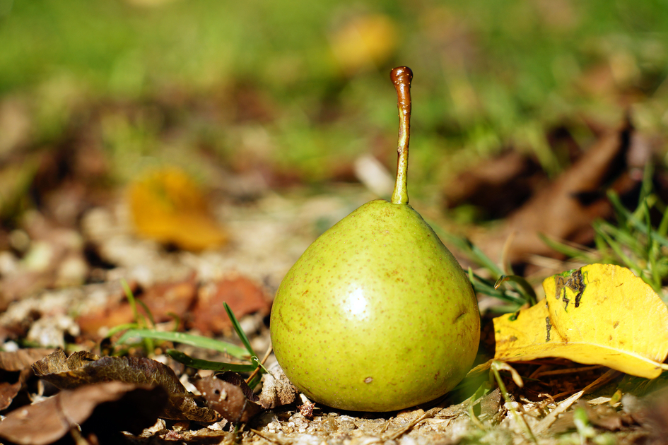 © TV Oststeiermark | Michael Fischer