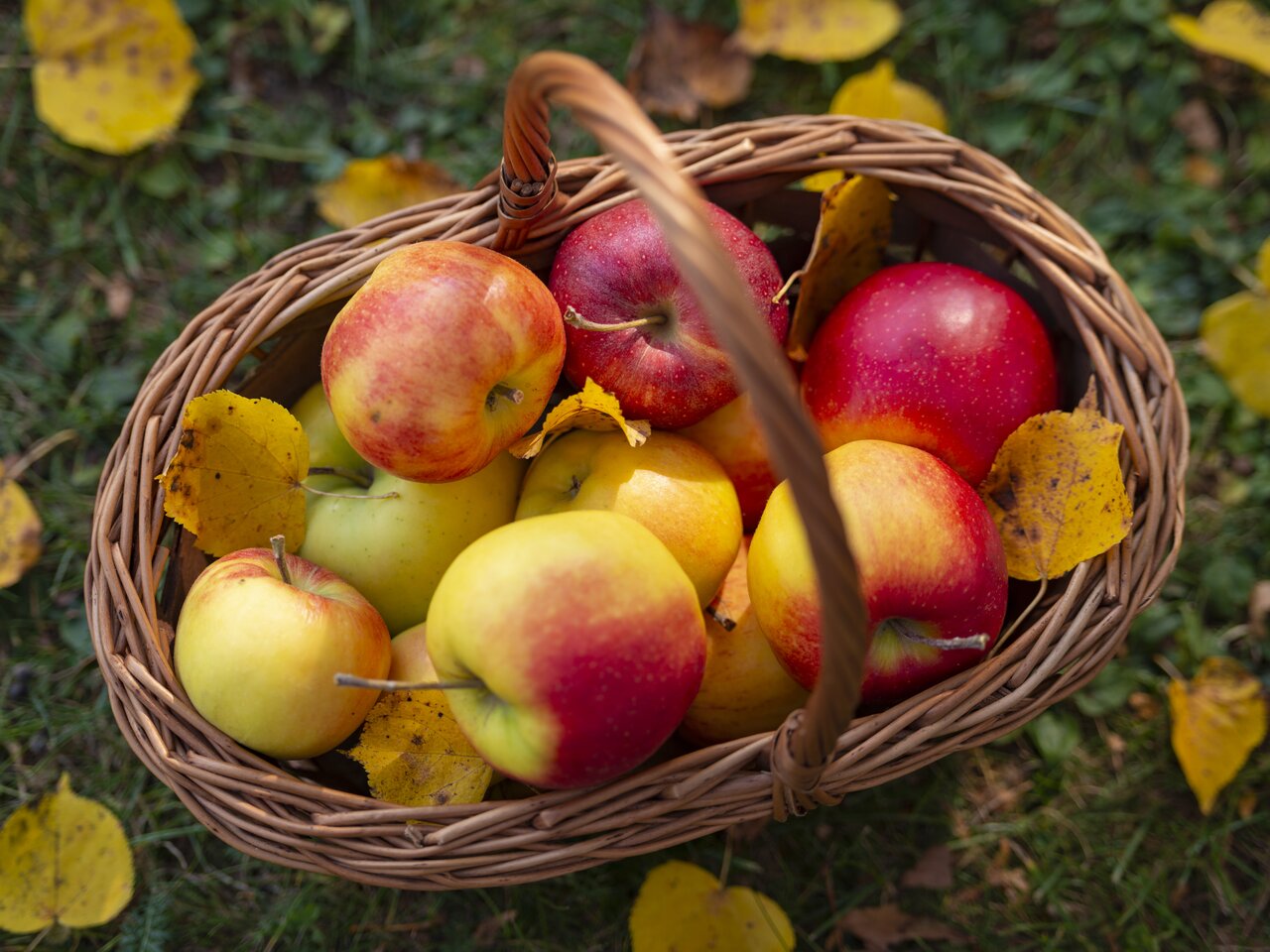 Apple basket from Eastern Styria | © TV Oststeiermark | Bernhard Bergmann
