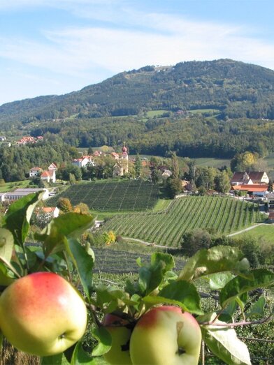 View from the Eiteljörg winery in Apfelland Stubenbergsee | © Weingut Eiteljörg |  Walter Schneider