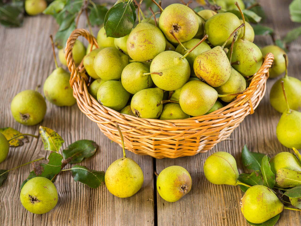 Basket with stag pears from the Pöllau Valley in Eastern Styria | © TV Oststeiermark | Helmut Schweighofer