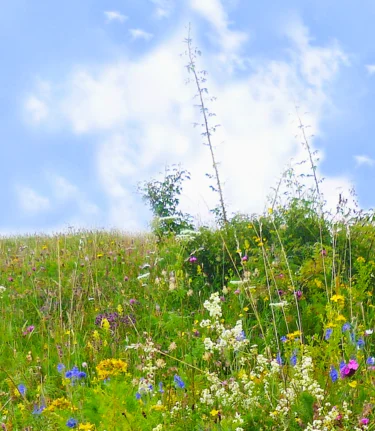 Gipfelkreuz Gschaid-Nock in der Oststeiermark | © TV Oststeiermark | Christine Pollhammer