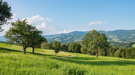 Nature Park Landscape in the Pöllau Valley | © TV Oststeiermark | Helmut Schweighofer