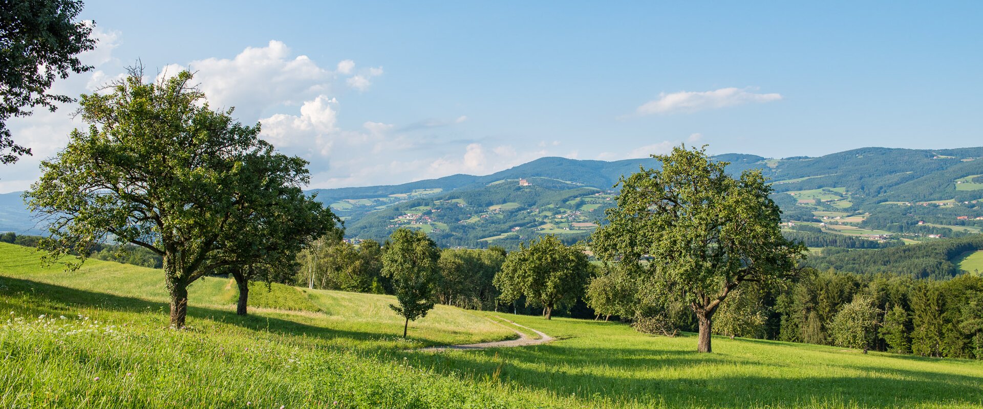 Nature Park Landscape in the Pöllau Valley | © TV Oststeiermark | Helmut Schweighofer