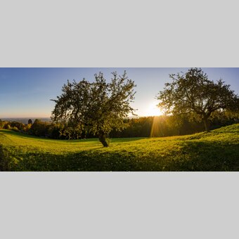 Burg Neuberg in der Abendsonne | ©  Oststeiermark Tourismus | Bernhard Bergmann