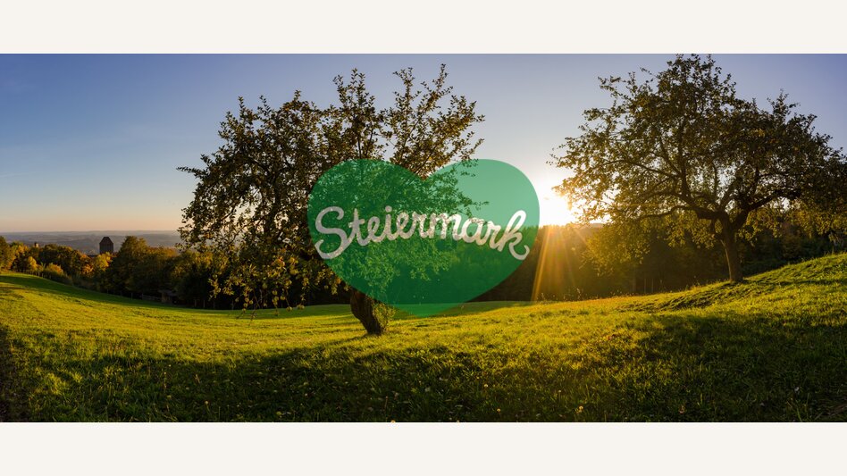 Burg Neuberg in der Abendsonne | ©  Oststeiermark Tourismus | Bernhard Bergmann