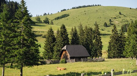 Almlandschaft mit Hütte | © Oststeiermark | cmvisuals