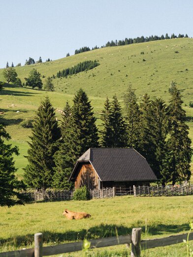 Alpine landscape in eastern Styria | © Oststeiermark | cmvisuals