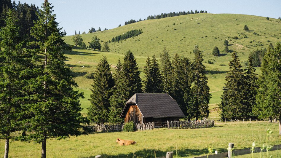 Almlandschaft in der Oststeiermark | © TV Oststeiermark | cmvisuals