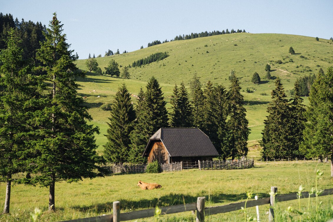 Almlandschaft in der Oststeiermark | © TV Oststeiermark | cmvisuals