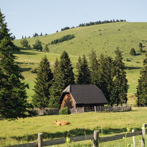 Alpine landscape in eastern Styria | © Oststeiermark | cmvisuals