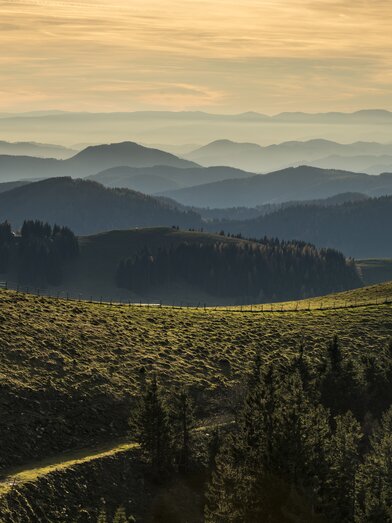 Landscape of the Almenland Nature Park in Eastern Styriand | ©  Oststeiermark Tourismus | Bernhard Bergmann | © Oststeiermark Tourismus, Bernhard Bergmann