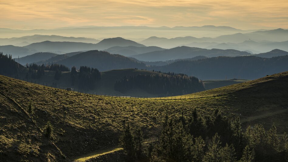 Landschaft des Naturparks Almenland in der Oststeiermark | Bernhard Bergmann | © Oststeiermark Tourismus, Bernhard Bergmann
