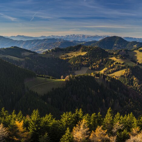 Landscape panorama in the Almenland | ©  Oststeiermark Tourismus | Bernhard Bergmann | © Oststeiermark Tourismus, Bernhard Bergmann