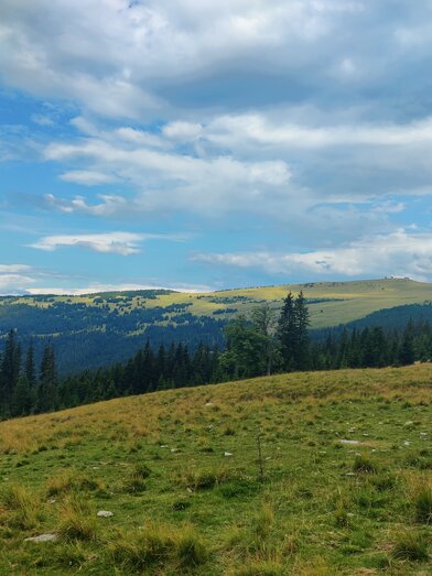 On the alp with a view of the Hochwechsel  | © TV Oststeiermark | Nicole Friesenbichler