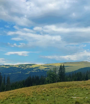 On the alp with a view of the Hochwechsel  | © TV Oststeiermark | Nicole Friesenbichler
