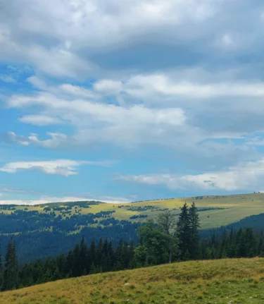 Auf der Alm mit Blick auf den Hochwechsel  | © TV Oststeiermark | Nicole Friesenbichler