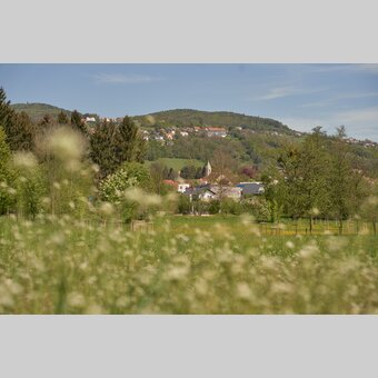 Ausblick auf die Stadtpfarrkirche Hartberg in der Oststeiermark | ©  Oststeiermark Tourismus | Markus Lang-Bichl