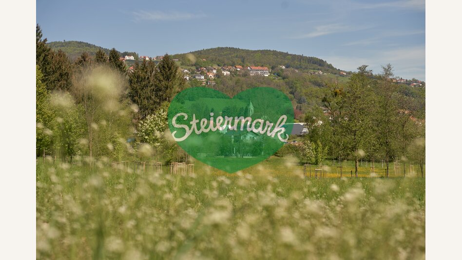 Ausblick auf die Stadtpfarrkirche Hartberg in der Oststeiermark | ©  Oststeiermark Tourismus | Markus Lang-Bichl