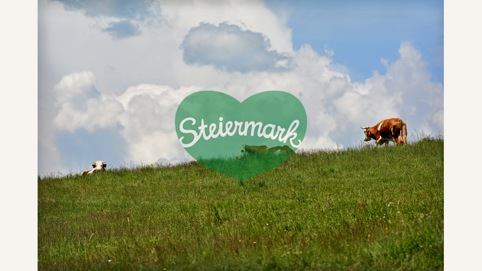 Kühe auf der Teichalm in der Oststeiermark | ©  Oststeiermark Tourismus | Christian Strassegger
