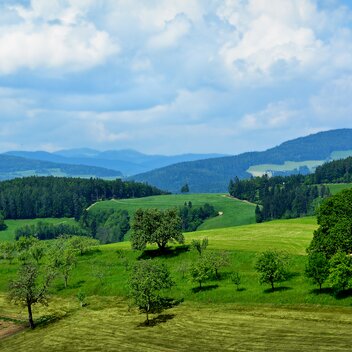 © (c)Strassegger | Christian Strassegger