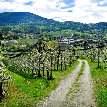 © (c)Strassegger | Christian Strassegger