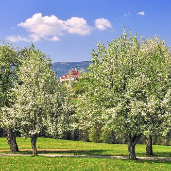 ©                                                        | Ewald Neffe