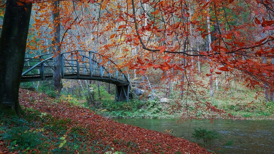 Raab gorge with bridge in autumn landscape | © TV Oststeiermark | Christine Pollhammer