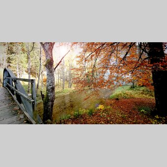 Herbst in der Raabklamm | ©  Oststeiermark Tourismus | Pollhammer