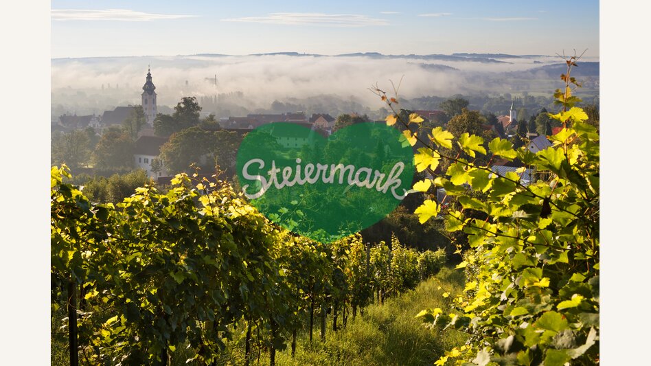 Weingarten am Ring und Hartberg im Nebel | ©  Oststeiermark Tourismus | Bernhard Bergmann