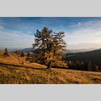 Herbstlandschaft im Naturpark Almenland in der Oststeiermark | © Oststeiermark Tourismus | Bernhard Bergmann