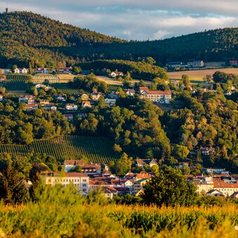 Hartberg city view with view of Ringkogel mountain | © TV Oststeiermark | Wolfgang Spekner